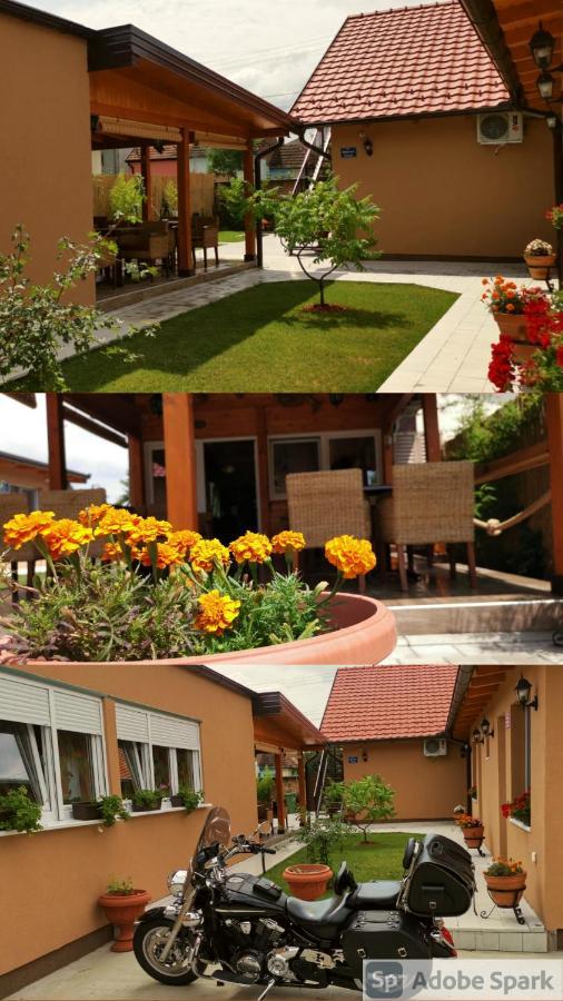 Villa Klara Novi Sad Exterior foto